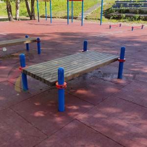 Купить Помост для выполнения испытания "Сгибание-разгибание рук в упоре лежа на полу" в Немане 